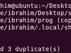 Duplicate File Finder Demo