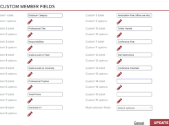 Custom fields definition