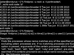An example of findproc output.