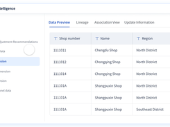 FineBI Screenshot 1