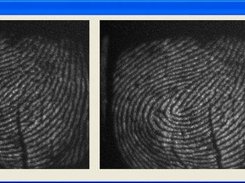 Library usage example application