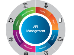 Fiorano API Management Screenshot 1