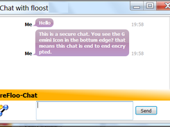 Screenshot: pop up chat window with gemini icon (end to end encryption)