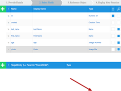 Firejack Open Source Platform Screenshot 5