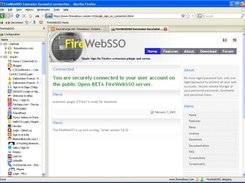 The connection page on the www.firewebsso.com public server