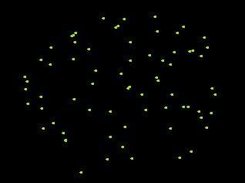 A firework exploding