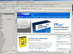 First Page 2006 Screenshot 1