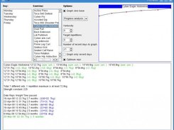 Fitness showing progress analysis for an exercise.