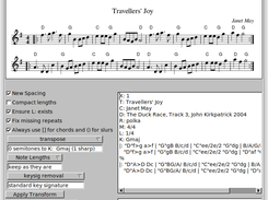 Tune in edit/transform window