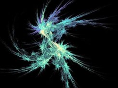 See: https://sourceforge.net/apps/gallery/flamefractal/
