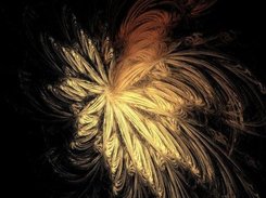 See: https://sourceforge.net/apps/gallery/flamefractal/