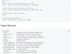 Flash-MoE Screenshot 1