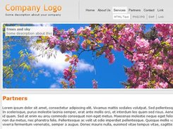 Flash website template