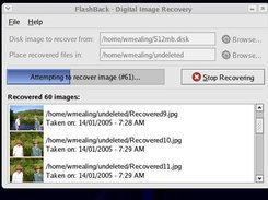 Flashback recovering from a disk image.