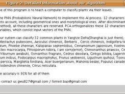 window showing details of our algorithm