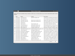 Flaxx: running startup manager