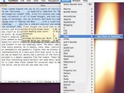 Flesh TextMate Bundle