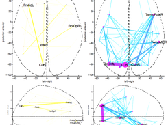 Example "flat shading" fMRI discriminative graph, with convex hull outline planes (PubMed PMID 20541019)