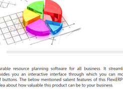 FlexiERP Screenshot 1