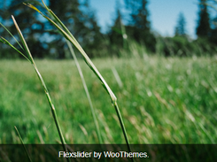 FlexSlider Screenshot 1