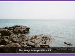 FlexSlider Screenshot 2