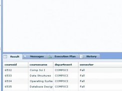 Query Window