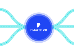 FLEXTHOR Screenshot 2