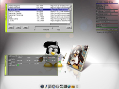 FLinux Screenshot 1