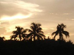 A glimpse of the beauty of IIT Guwahati