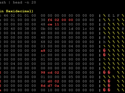 Byte Dump 0.6.1 dumping first 20 lines of /bin/bash.