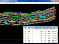 flNeuronTool Editor