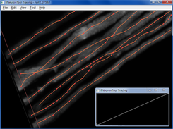 flNeuronTool Tracing
