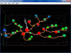 flNeuronTool Visualization