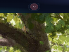 minimized