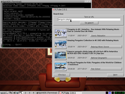 FLTube 2.0.1 searching for penguins videos (on SpiritOS Linux)