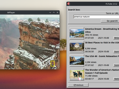 FLTube 2.0.2 (on Manjaro Linux)