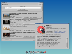 FLTube 2.0.3 at TinyCoreLinux