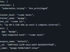 Fluent Bit Plugin for CloudWatch Logs Screenshot 1