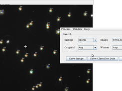 Classification Results on Images
