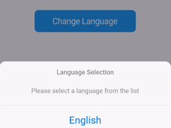 Flutter Translate Screenshot 1