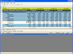 1. The main budget worksheet / transaction viewer