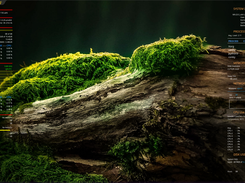 desktop view