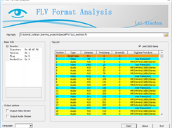 FLV Format Analysis Screenshot 1
