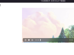 flybird-m3u8downloader Screenshot 3