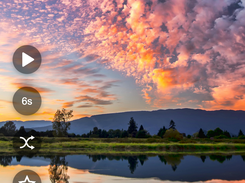 Flying-Bird-Wallpaper Screenshot 5