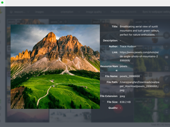 Flying-Bird-Wallpaper Screenshot 2