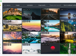 Flying-Bird-Wallpaper Screenshot 1