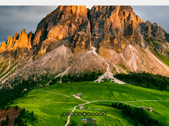 Flying-Bird-Wallpaper Screenshot 3