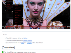 Flyleaf Screenshot 1