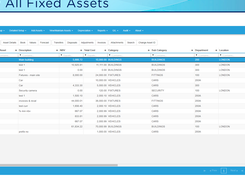 View All Fixed Assets